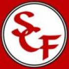 Skips Custom Flooring Logo